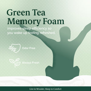 Zinus 20cm Green Tea Memory Foam Mattress (8")-Mattress-Zinus Singapore