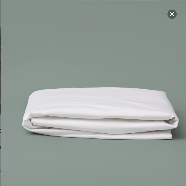 Zinus Waterproof Mattress Protector Tencel Cover