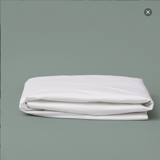 Zinus Waterproof Mattress Protector Tencel Cover