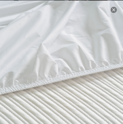 Zinus Waterproof Mattress Protector Tencel Cover