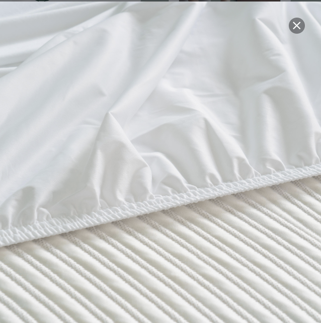 Zinus Waterproof Mattress Protector Tencel Cover