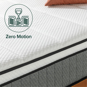 Zinus Orthopedic Plus Zero-Motion Memory Foam Mattress