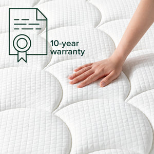 Zinus Orthopedic Pro Zero-Motion Latex Mattress