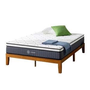 Zinus Orthopedic Pro Zero-Motion Latex Mattress