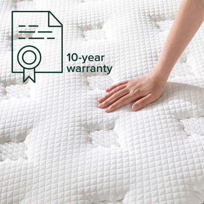 Zinus Orthopedic Supreme Zero-Motion 10” (25cm) Euro Top Mattress