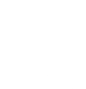 Zinus | Logo
