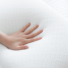 Load image into Gallery viewer, Zinus &#39;Cool Series&#39; Green Tea Memory Foam Traditional Pillow - Soft
